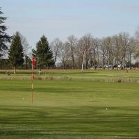 Les mises en jeu de Félix, Bernard et Yves au par 3 n°11: 3 pars!