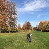 Vers 11h, le soleil fait son apparition