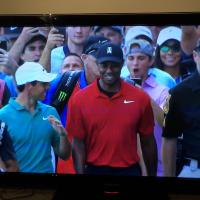 Rory et Tiger devisent en marchant vers le green