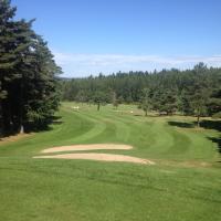La montée du par 4 n°7