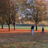 ... alors que Bernard est dans les bois