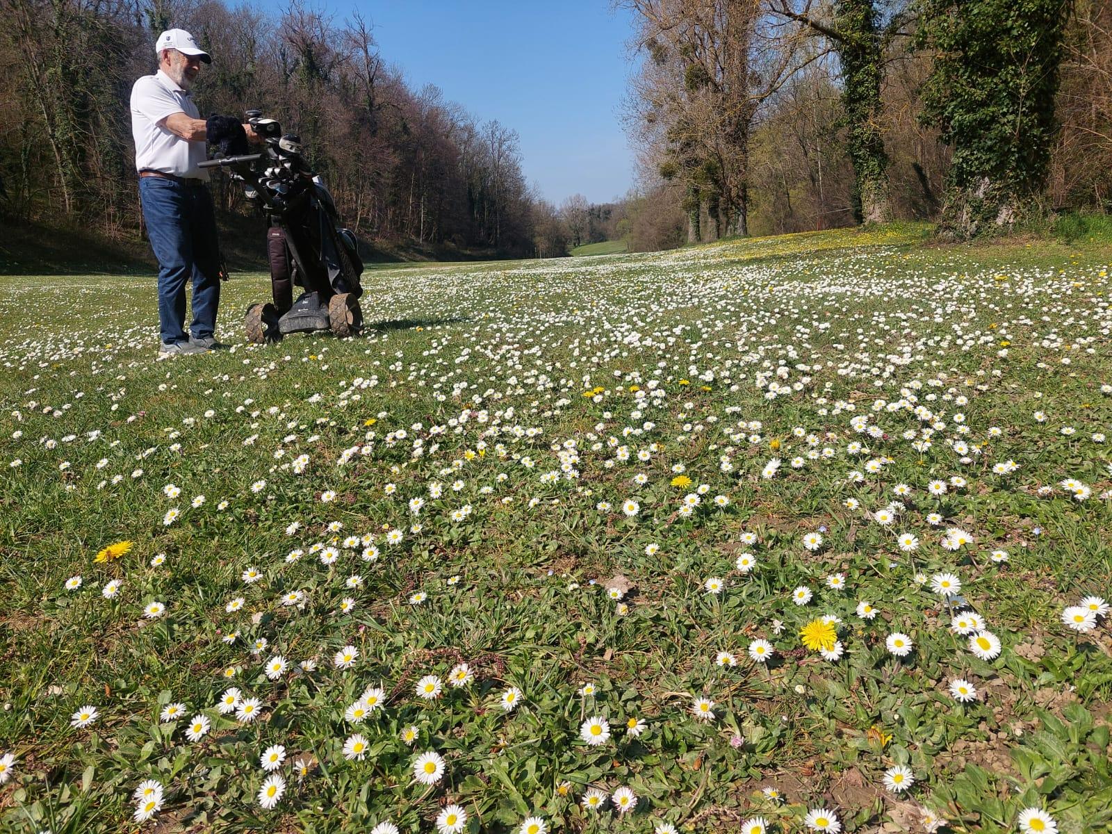 Yves et les pâquerettes au n°18