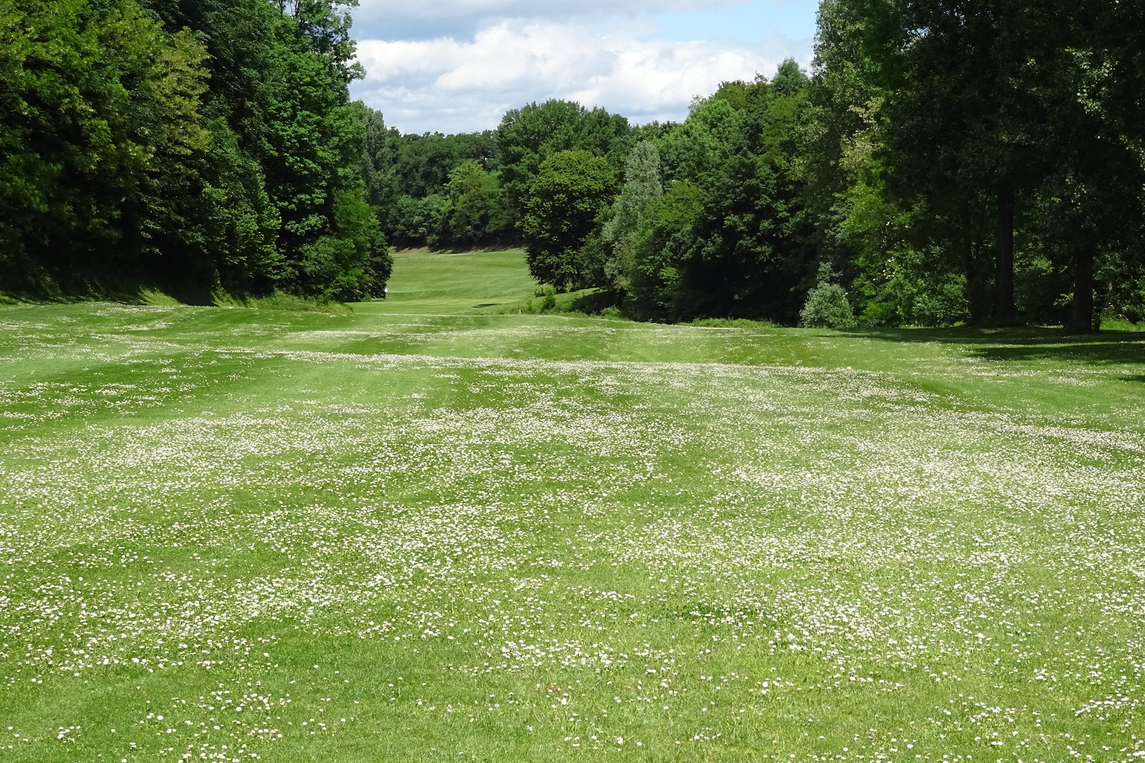 Pas vraiment tondu, le fairway du n°17 ...