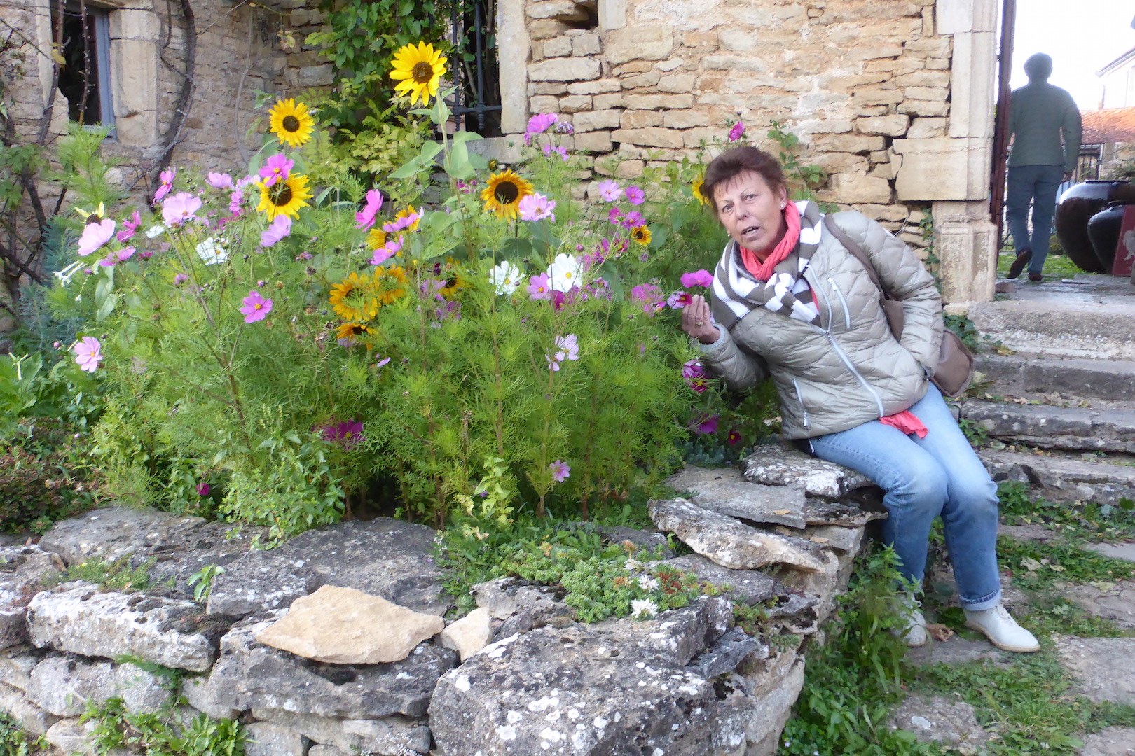 Martine apprécie les cosmos