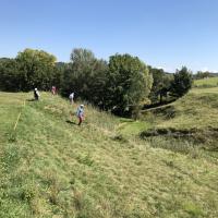 Recherche de balle au n°15