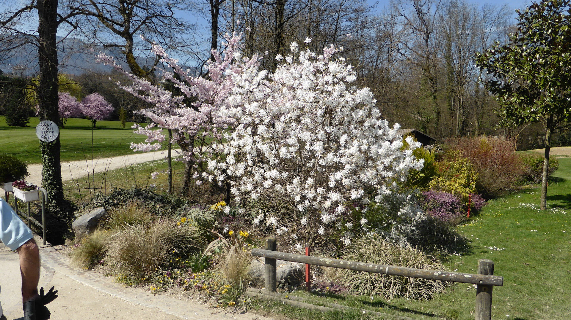 C'est le printemps