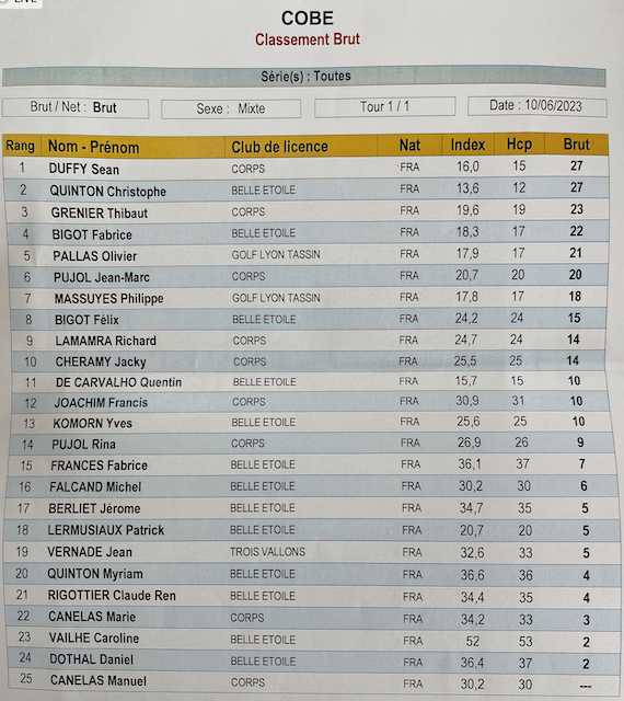 Chassieu le classement en brut