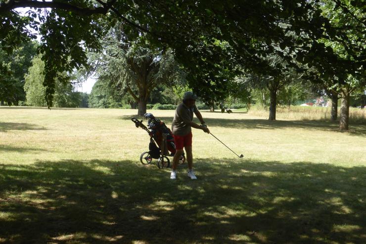 Coup de fer sous les arbres de roland au n 15